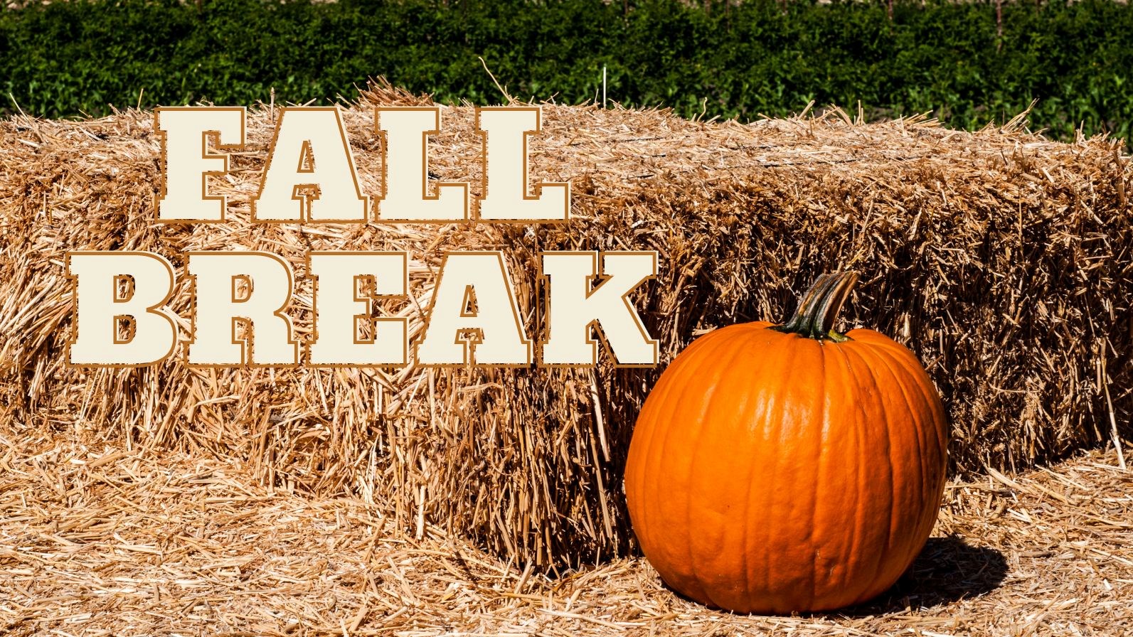 Single pumpkin sitting on bales of hay. Text reads Fall Break